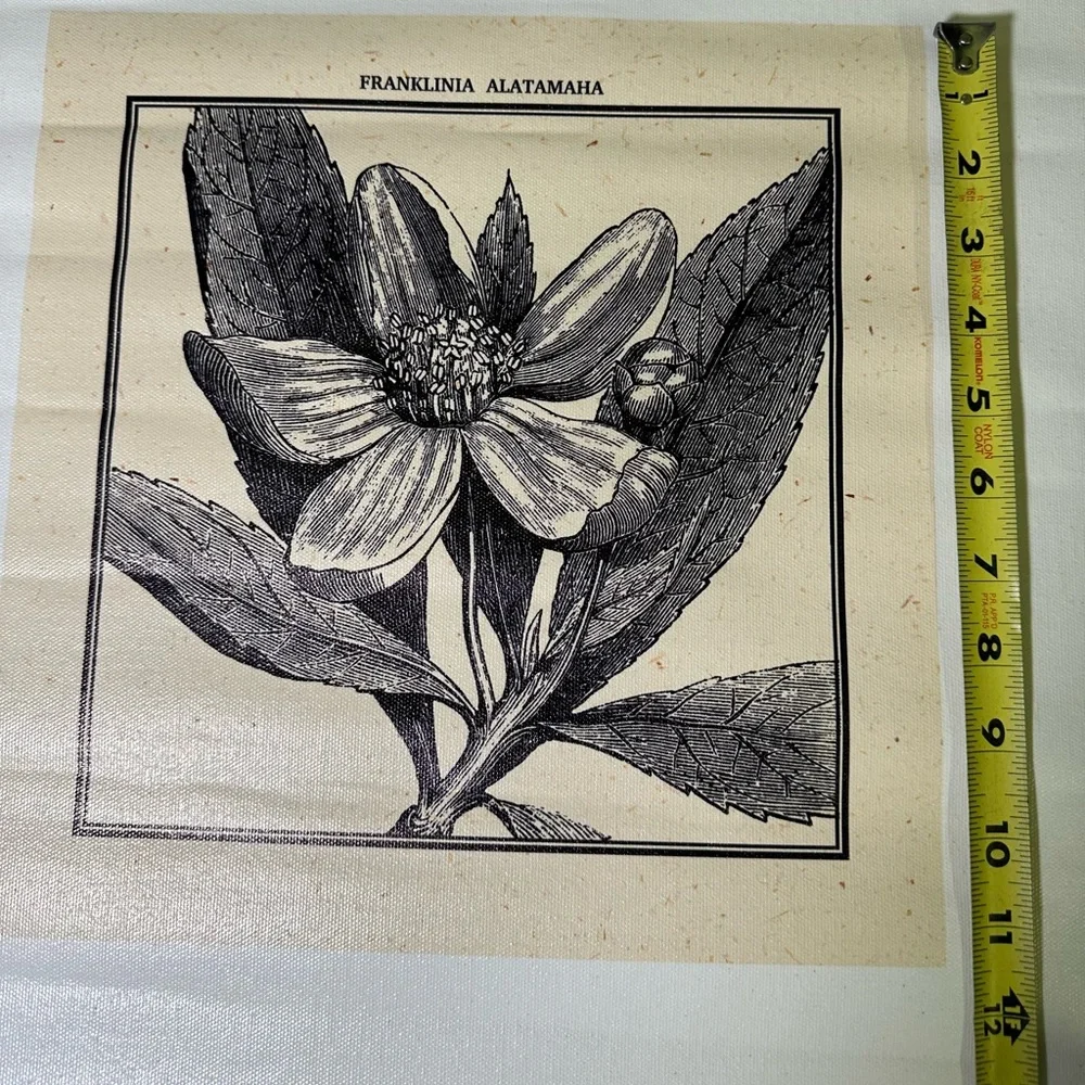 N/A franklin tree